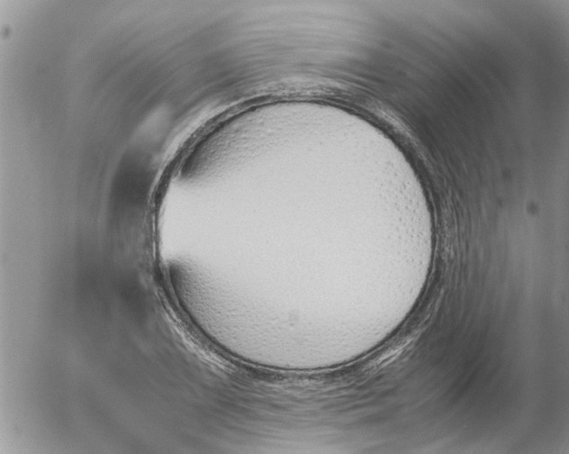 X0000053071075200508011934