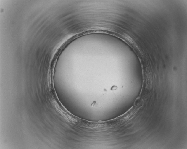 X0000053071076200508011934