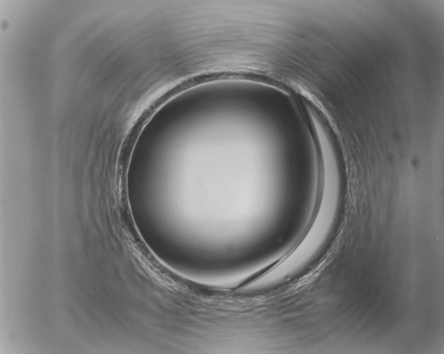 X0000053071077200508011934