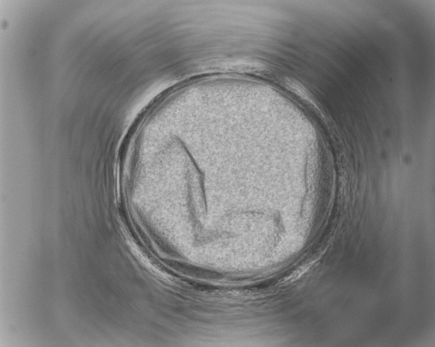 X0000053071079200508011934