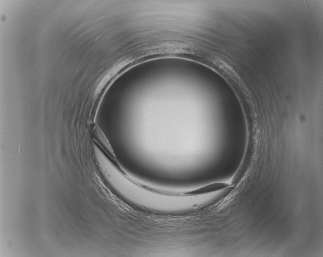 X0000053071081200508011934