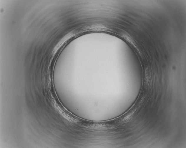 X0000053071082200508011934