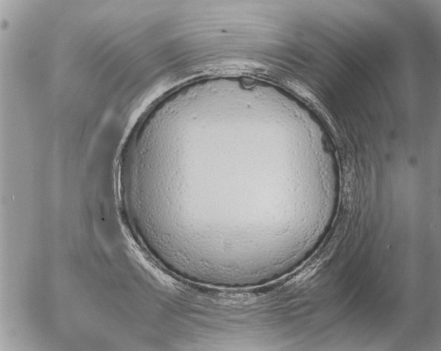 X0000053071083200508011934