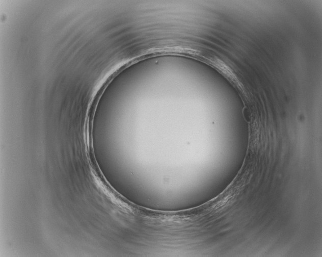 X0000053071084200508011934