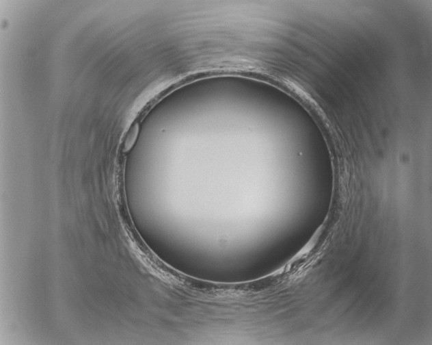 X0000053071085200508011934