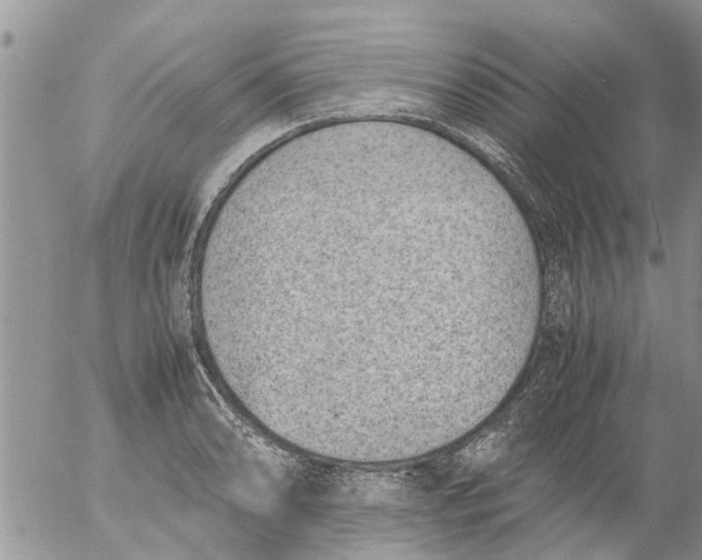 X0000053071086200508011934