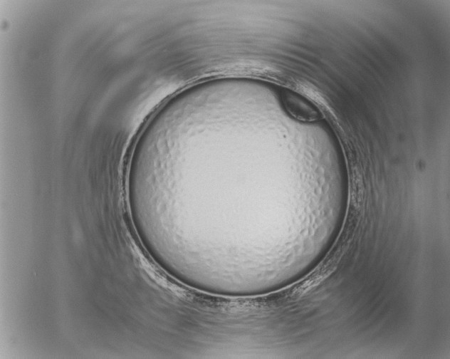 X0000053071087200508011934