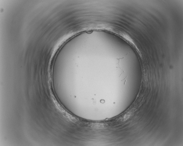 X0000053071088200508011934