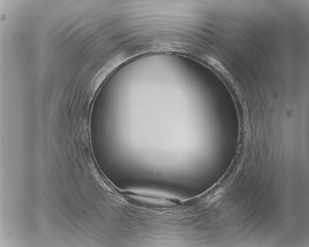 X0000053071089200508011934