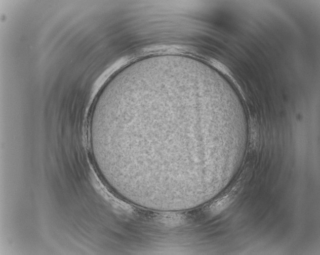 X0000053071090200508011934