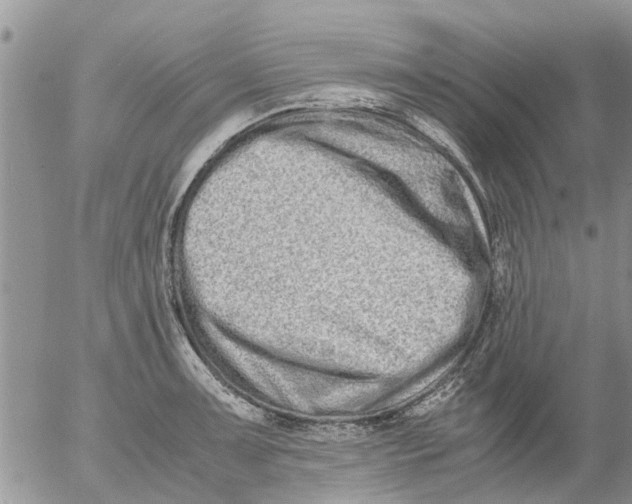 X0000053071091200508011934