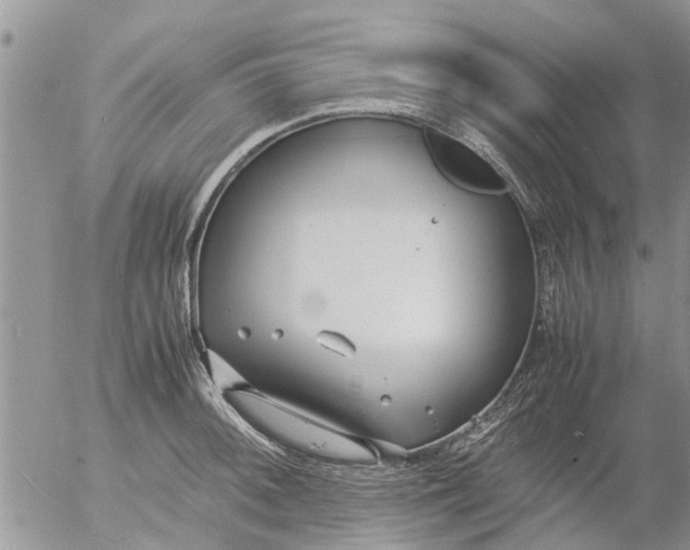 X0000053071092200508011934