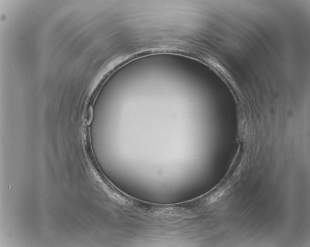 X0000053071093200508011934