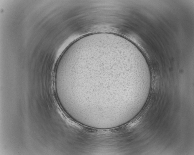 X0000053071094200508011933