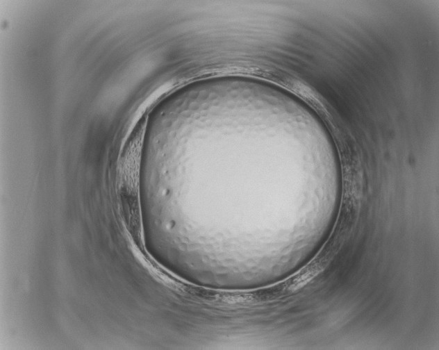 X0000053071095200508011933