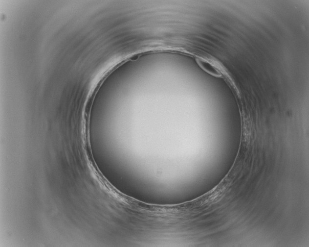 X0000053071096200508011933