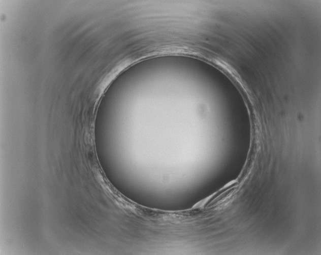 X0000053071097200508011933