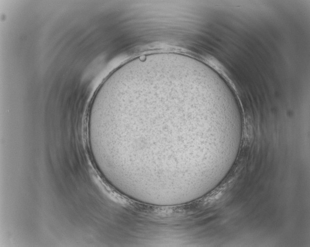 X0000053071098200508011933