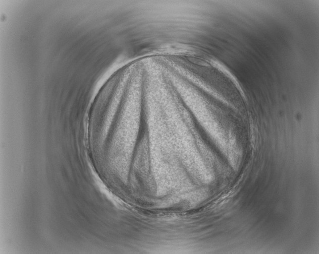 X0000053071099200508011933