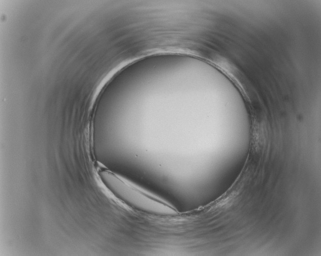 X0000053071100200508011933