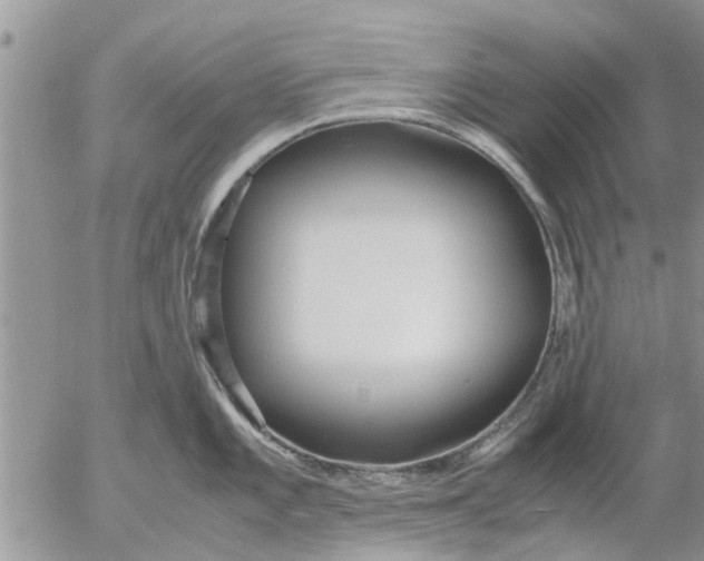 X0000053071101200508011933