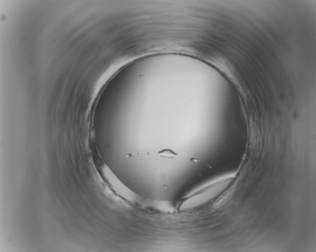 X0000053071102200508011933