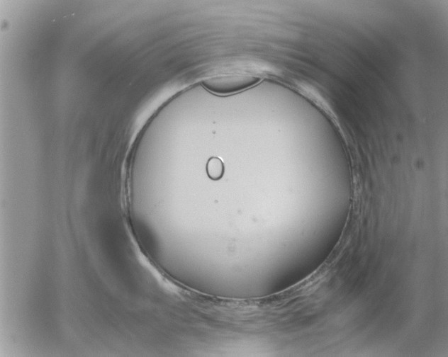 X0000053071103200508011933