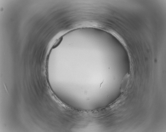 X0000053071104200508011933