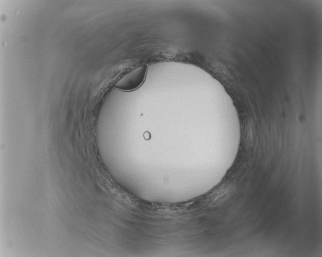 X0000053071105200508011933