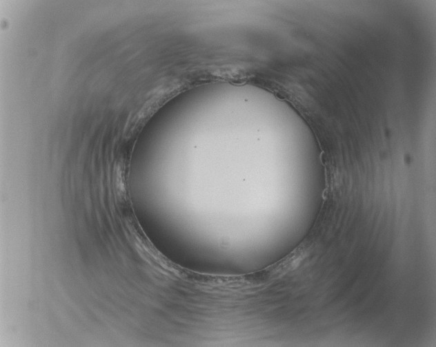 X0000053071106200508011933