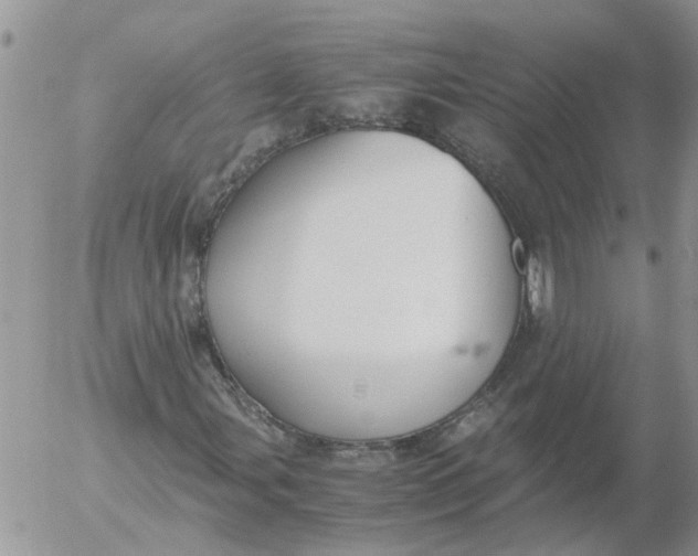 X0000053071107200508011933