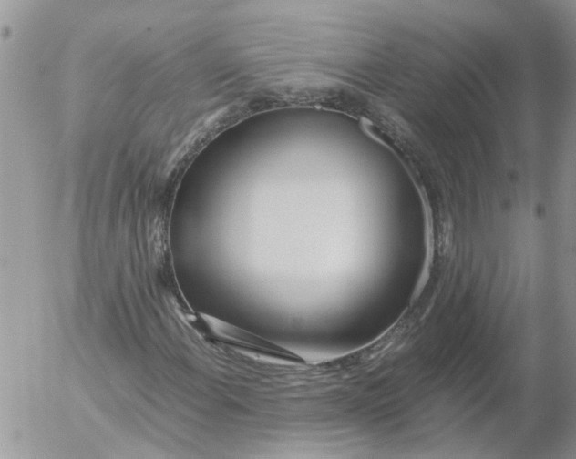 X0000053071108200508011933