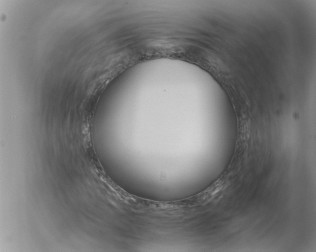 X0000053071109200508011933