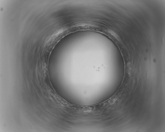 X0000053071111200508011933