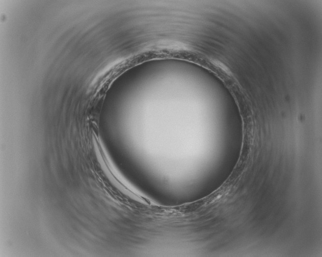 X0000053071112200508011933