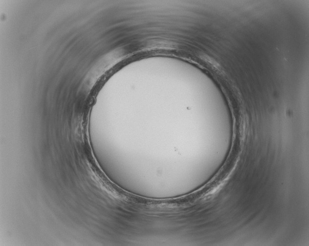 X0000053071113200508011933