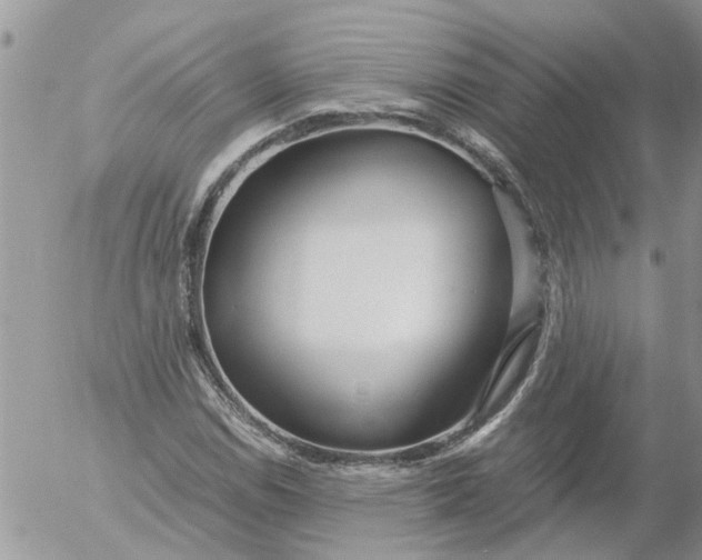 X0000053071114200508011933