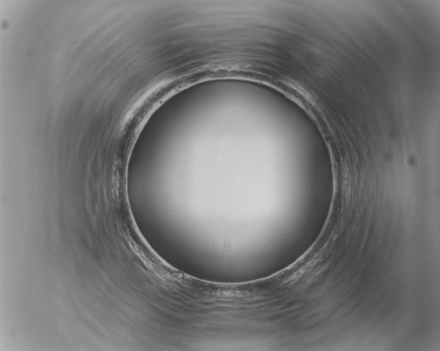 X0000053071115200508011933