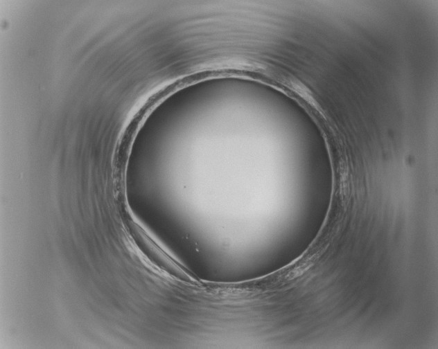 X0000053071116200508011933