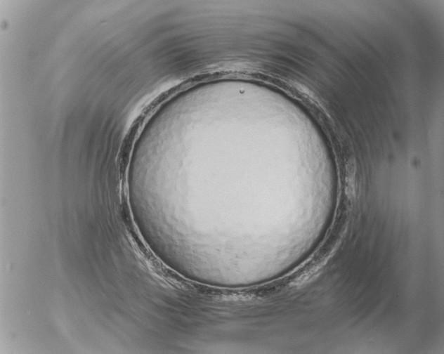 X0000053071117200508011933