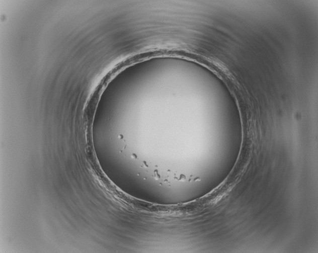 X0000053071118200508011933