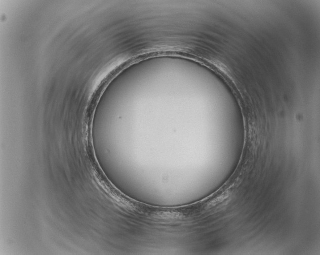 X0000053071119200508011933