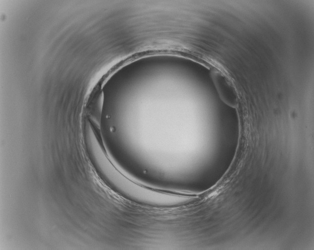 X0000053071120200508011933