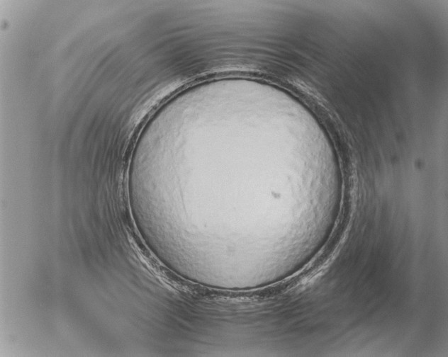 X0000053071121200508011933