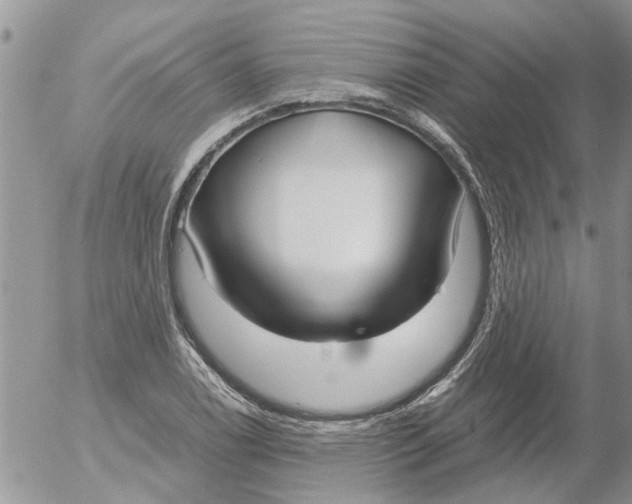 X0000053071122200508011933