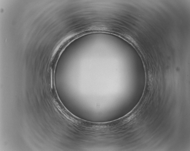 X0000053071123200508011933