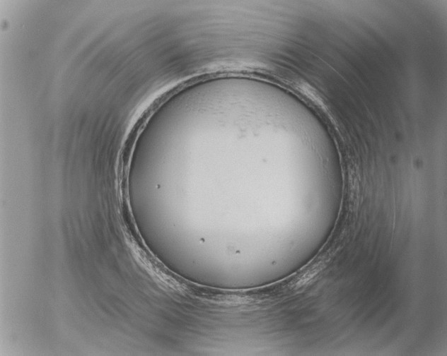 X0000053071124200508011933