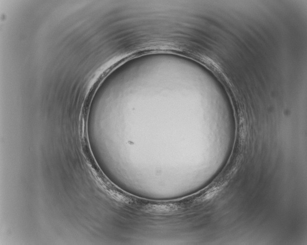 X0000053071125200508011933