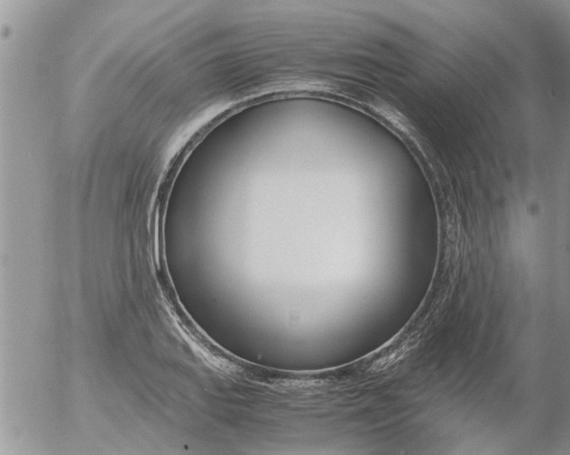 X0000053071127200508011933