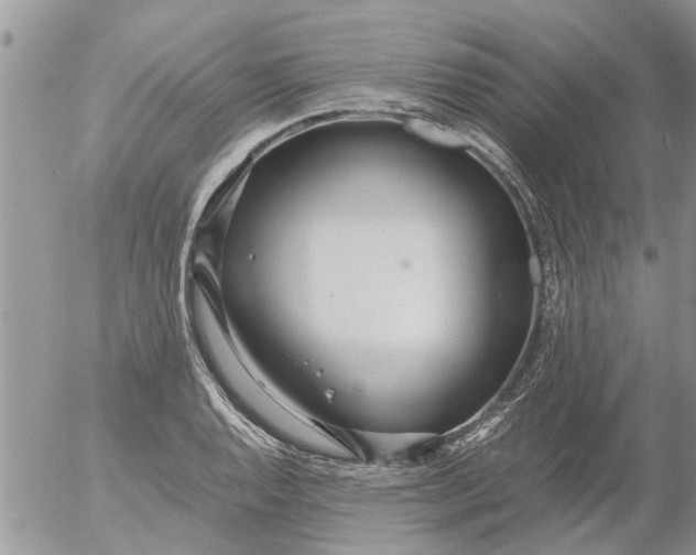 X0000053071128200508011933